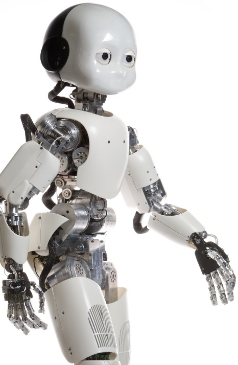 The iCub humanoid robot