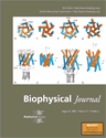 Cover of Biophysical Journal