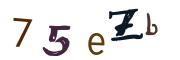 Image CAPTCHA