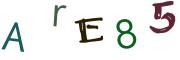 Image CAPTCHA