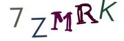 Image CAPTCHA