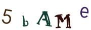 Image CAPTCHA