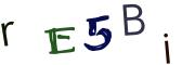 Image CAPTCHA