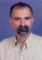 Profile picture for user Alireza Majidian